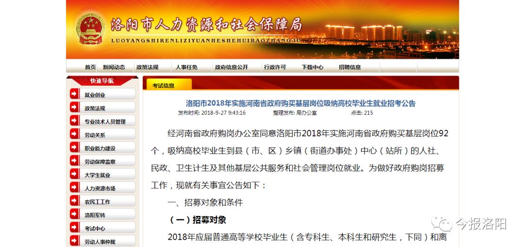 洛阳招聘网最新招聘动态深度解读报告