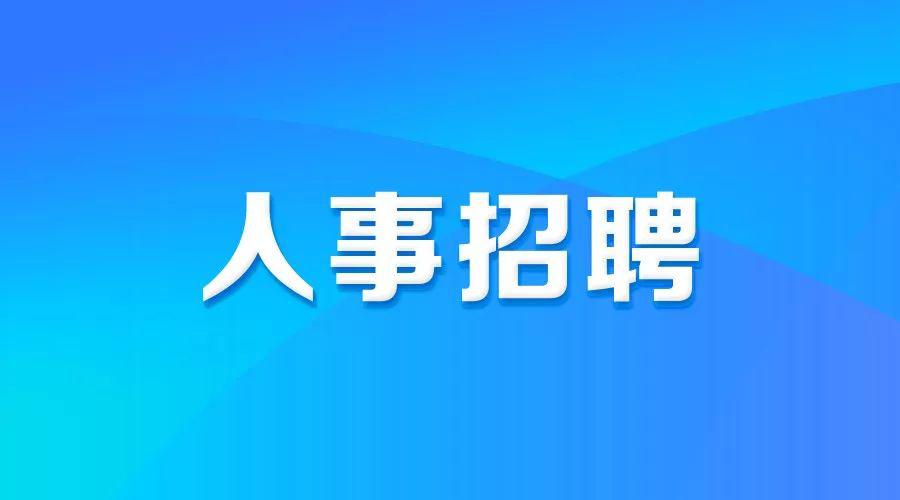 凉山招聘网最新招聘动态深度解读与解析