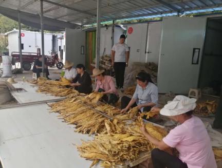 旬阳县住房和城乡建设局领导团队全新亮相，未来工作展望与战略规划